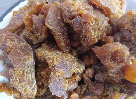 تصویر 2 از قیمت گیاه دارویی صمغ باریجه + خرید باور نکردنی